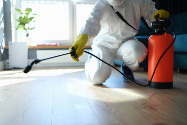 Reliable Sewage Cleanup contractor in Hiram, OH by Trauma Clean Pros